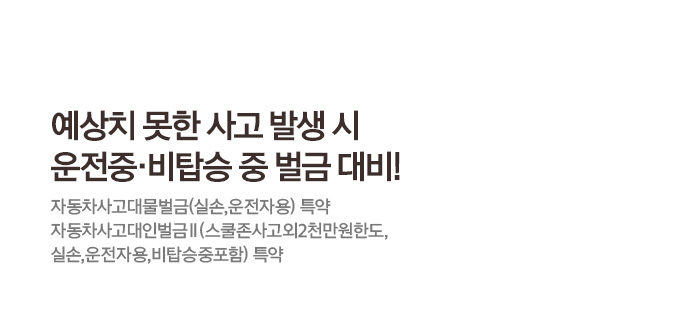 예상치 못한 사고 발생 시 운전중,비탑승중 벌금 대비! 자동차사고대물벌금(실손,운전자용) 특약 자동차사고대인벌금Ⅱ(스쿨존사고외2천만원한도, 실손, 운전자용, 비탑승중포함) 특약